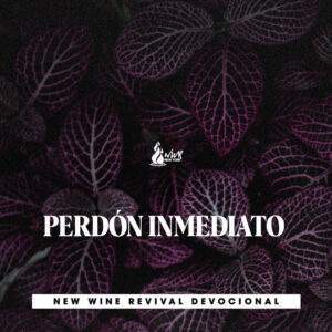 Read more about the article PERDÓN INMEDIATO