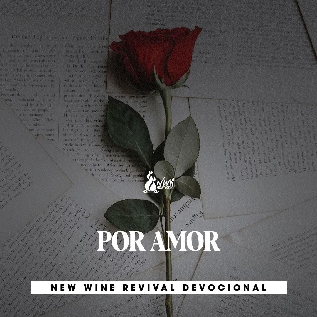 Read more about the article POR AMOR