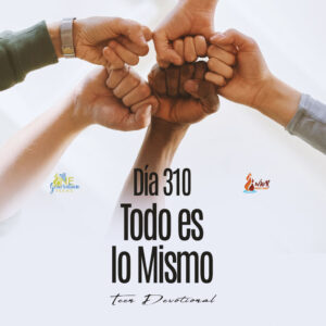 Read more about the article DÍA 310  – Todo es lo mismo