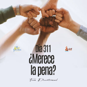 Read more about the article DÍA 311 – ¿Merece la pena?