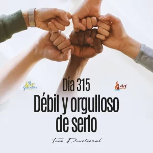 Read more about the article DÍA 315 – Débil y orgulloso de serlo