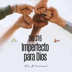 Read more about the article DÍA 316 – Imperfecto para Dios