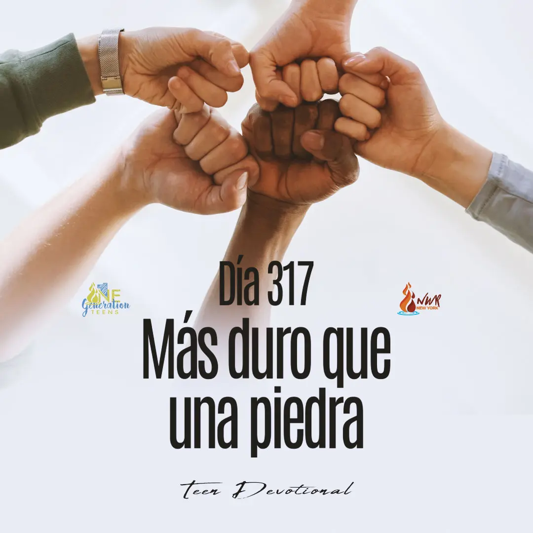 Read more about the article DÍA 317 –  Más duro que una piedra
