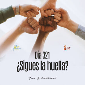 Read more about the article DÍA 321 – ¿Sigues la huella?