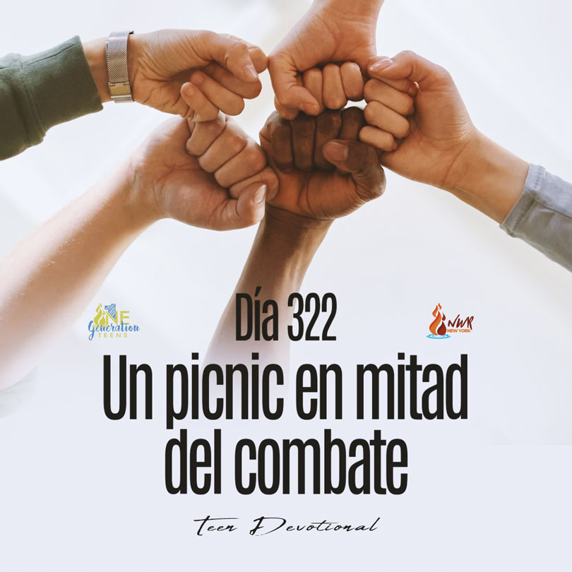 Read more about the article DÍA 322 – Un picnic en mitad del combate