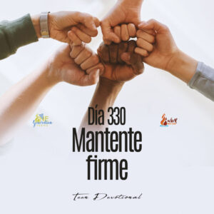 Read more about the article DÍA 330 – Mantente firme