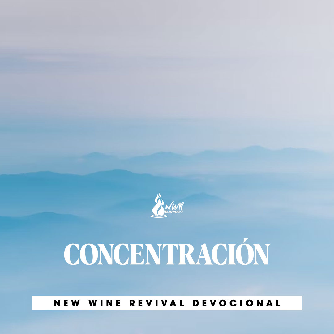 Read more about the article CONCENTRACIÓN