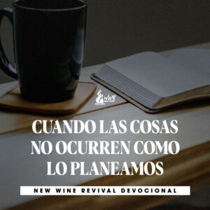 Read more about the article CUANDO LAS COSAS NO OCURREN COMO LO PLANEAMOS