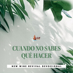 Read more about the article CUANDO NO SABES QUÉ HACER