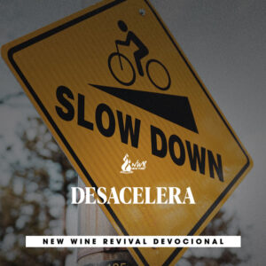 Read more about the article DESACELERA