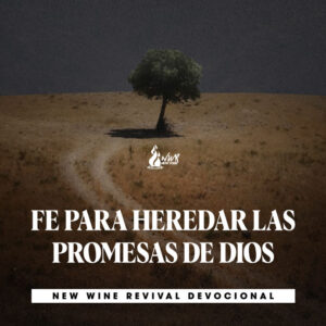Read more about the article FE PARA HEREDAR LAS PROMESAS DE DIOS