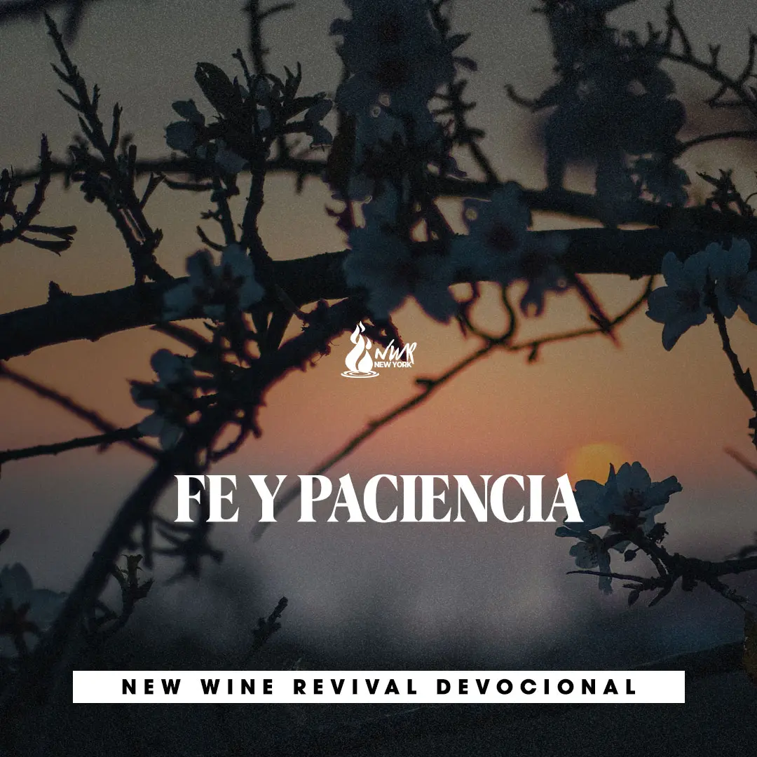 Read more about the article FE Y PACIENCIA