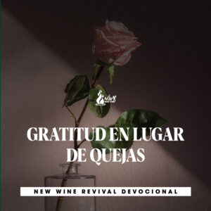 Read more about the article GRATITUD EN LUGAR DE QUEJAS