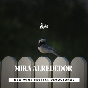 Read more about the article MIRA ALREDEDOR