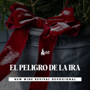 Read more about the article EL PELIGRO DE LA IRA