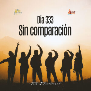 Read more about the article DÍA 333 – Sin comparación