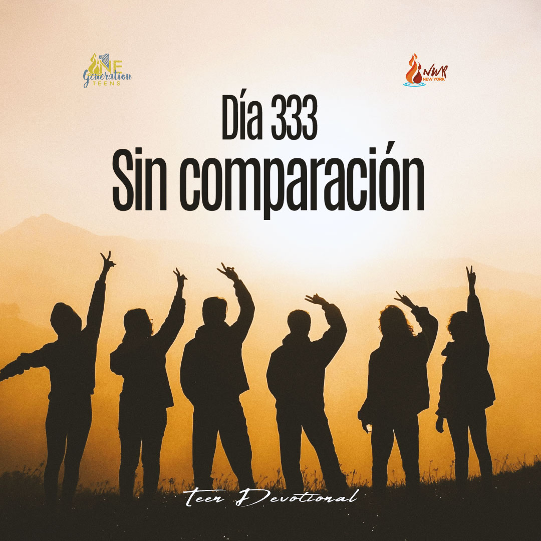 Read more about the article DÍA 333 – Sin comparación