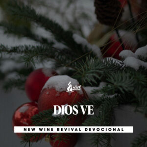 Read more about the article DIOS VE