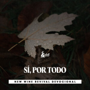 Read more about the article Sí, por todo