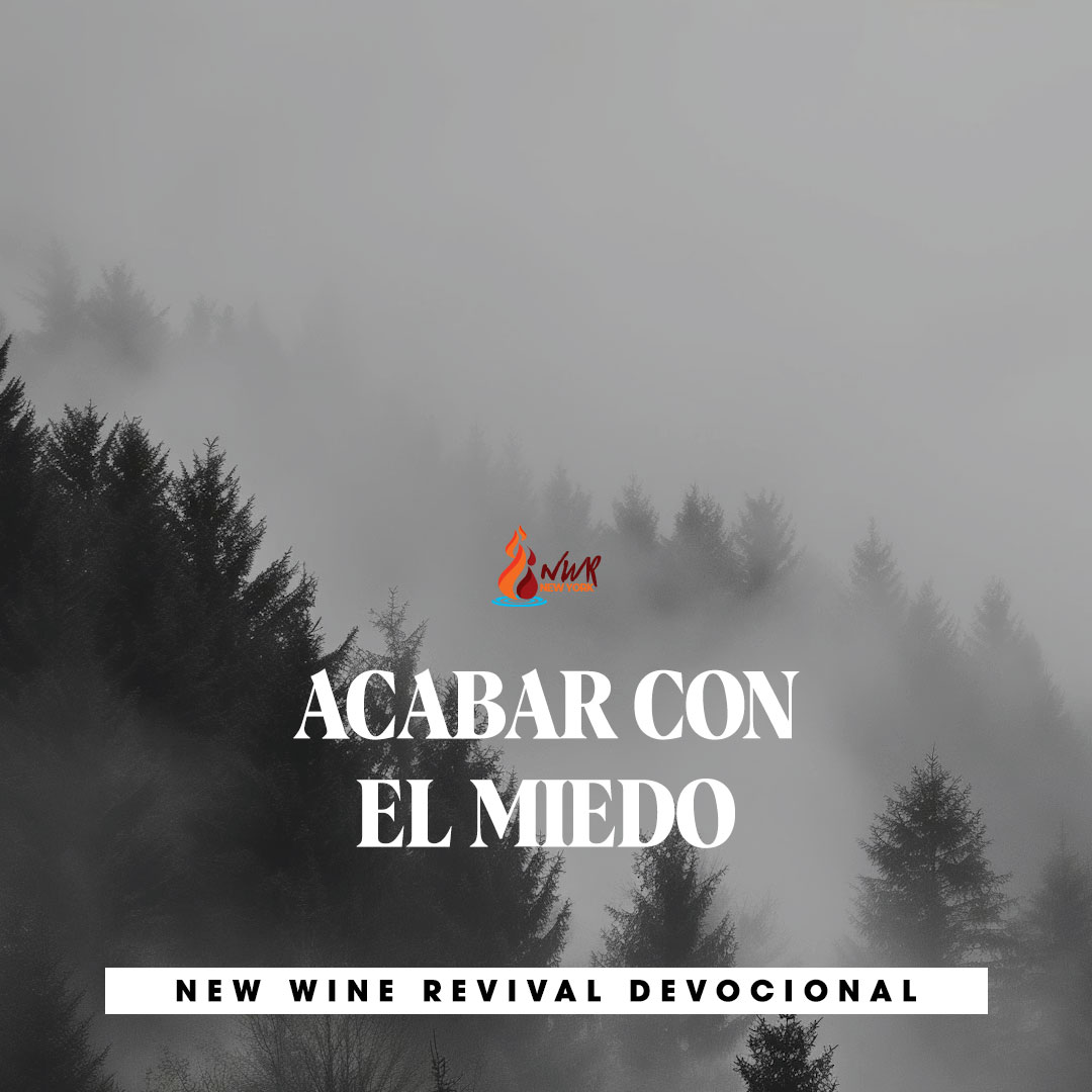 Read more about the article ACABAR CON EL MIEDO