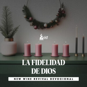 Read more about the article LA FIDELIDAD DE DIOS