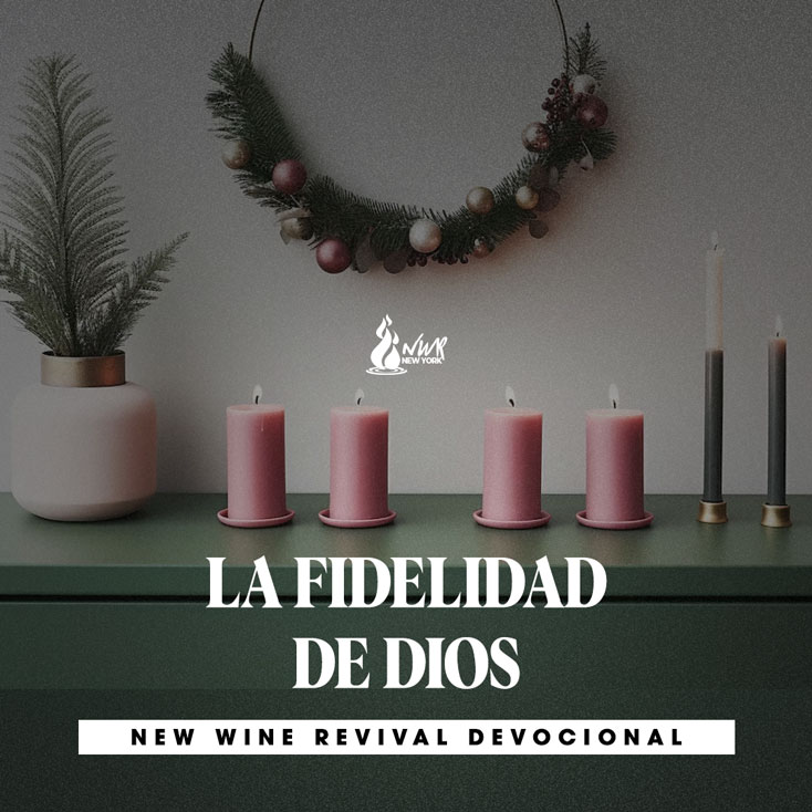 Read more about the article LA FIDELIDAD DE DIOS