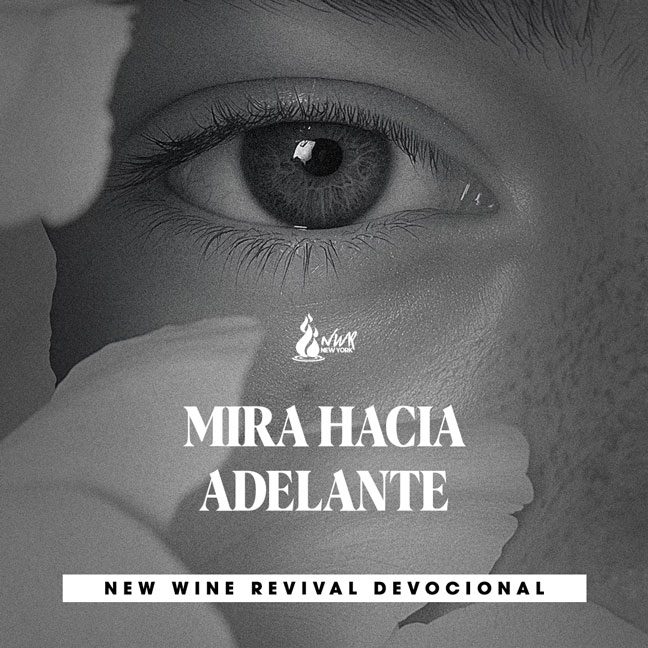 Read more about the article MIRA HACIA ADELANTE