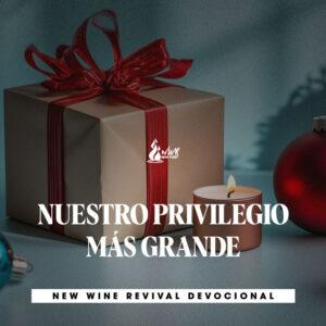 Read more about the article NUESTRO PRIVILEGIO MÁS GRANDE