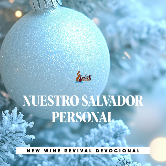 Read more about the article NUESTRO SALVADOR PERSONAL