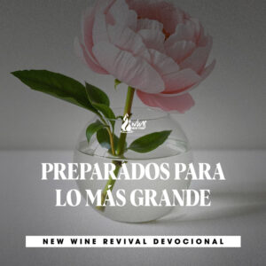 Read more about the article PREPARADOS PARA LO MÁS GRANDE