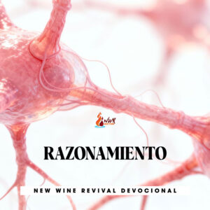 Read more about the article RAZONAMIENTO