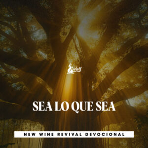 Read more about the article SEA LO QUE SEA