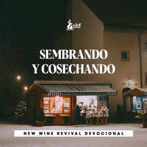 Read more about the article SEMBRANDO Y COSECHANDO