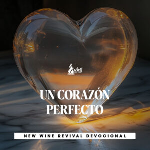 Read more about the article UN CORAZÓN PERFECTO