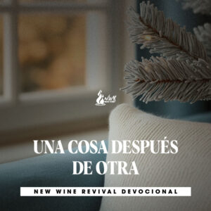 Read more about the article UNA COSA DESPUÉS DE OTRA