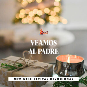 Read more about the article VEAMOS AL PADRE