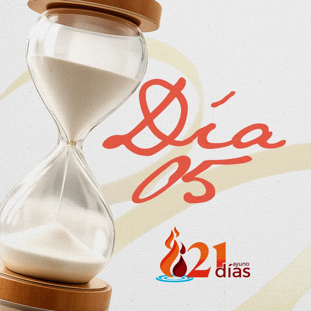 Read more about the article Día 05