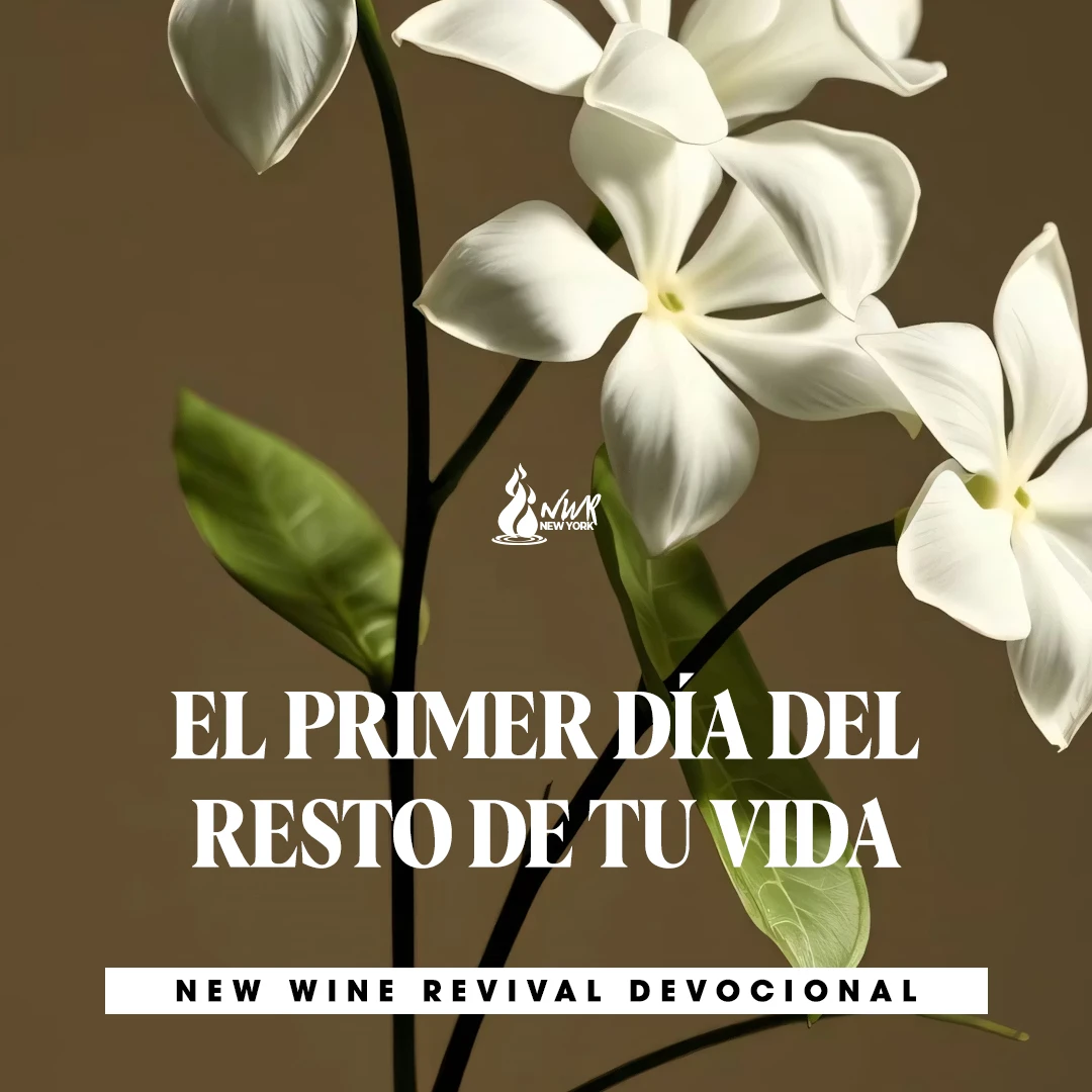 Read more about the article EL PRIMER DÍA DEL RESTO DE TU VIDA