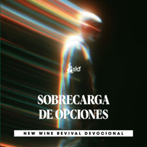 Read more about the article SOBRECARGA DE OPCIONES