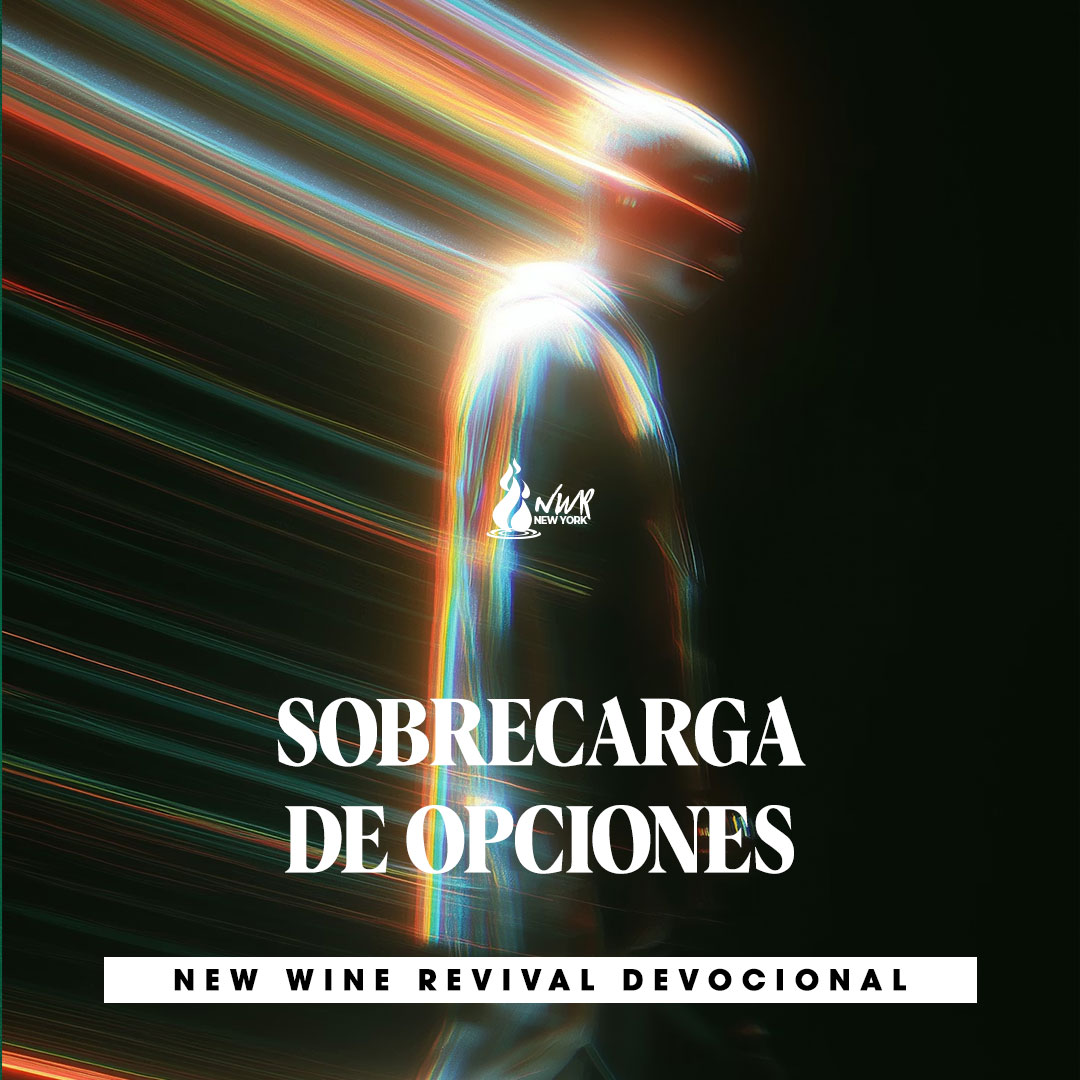 Read more about the article SOBRECARGA DE OPCIONES