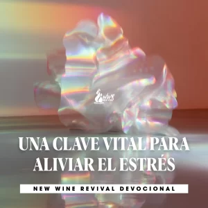 Read more about the article UNA CLAVE VITAL PARA ALIVIAR EL ESTRÉS