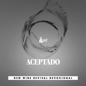 Read more about the article ACEPTADO