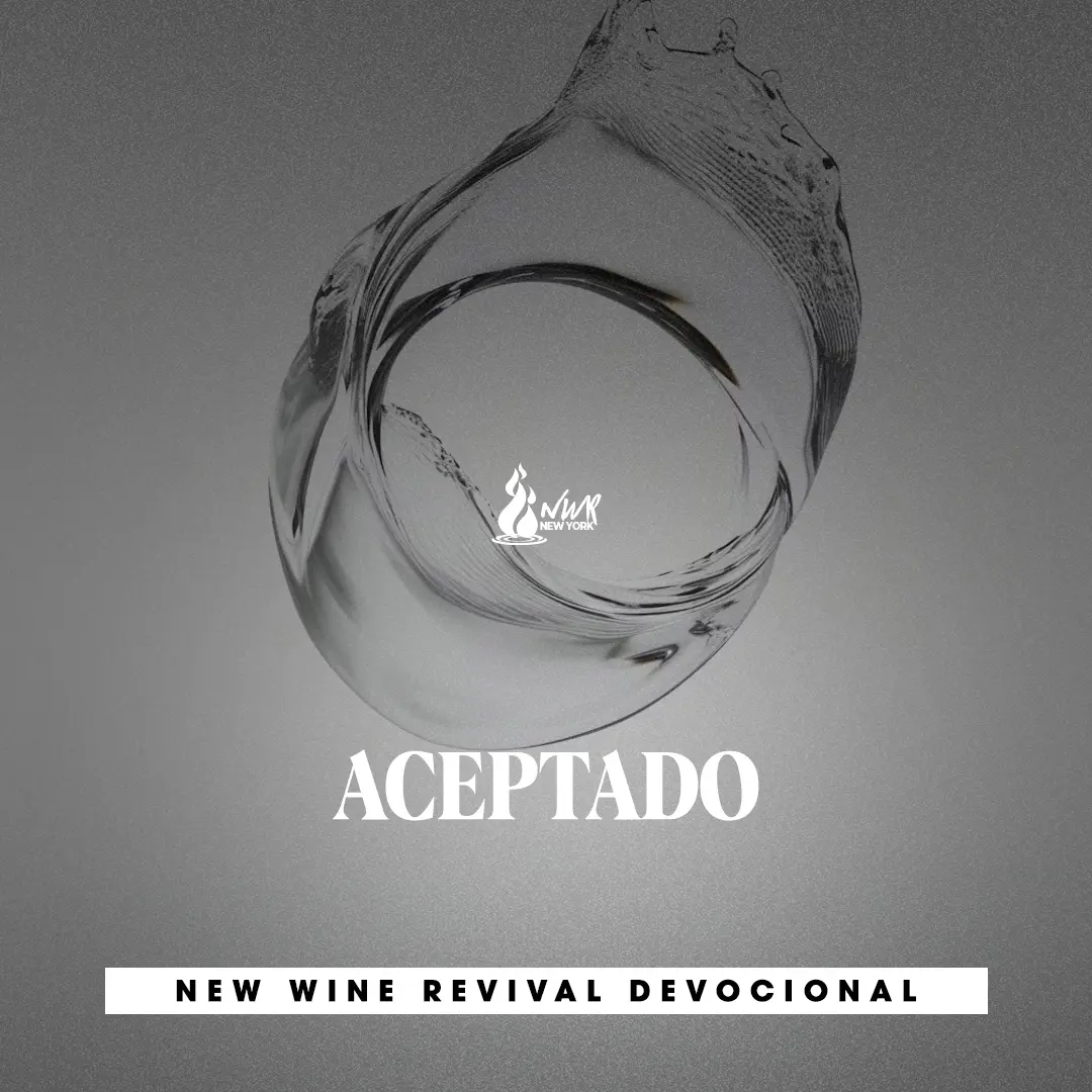 Read more about the article ACEPTADO