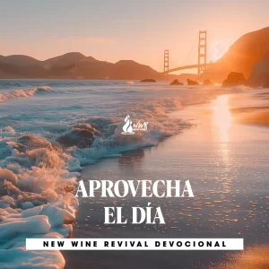 Read more about the article APROVECHA EL DÍA