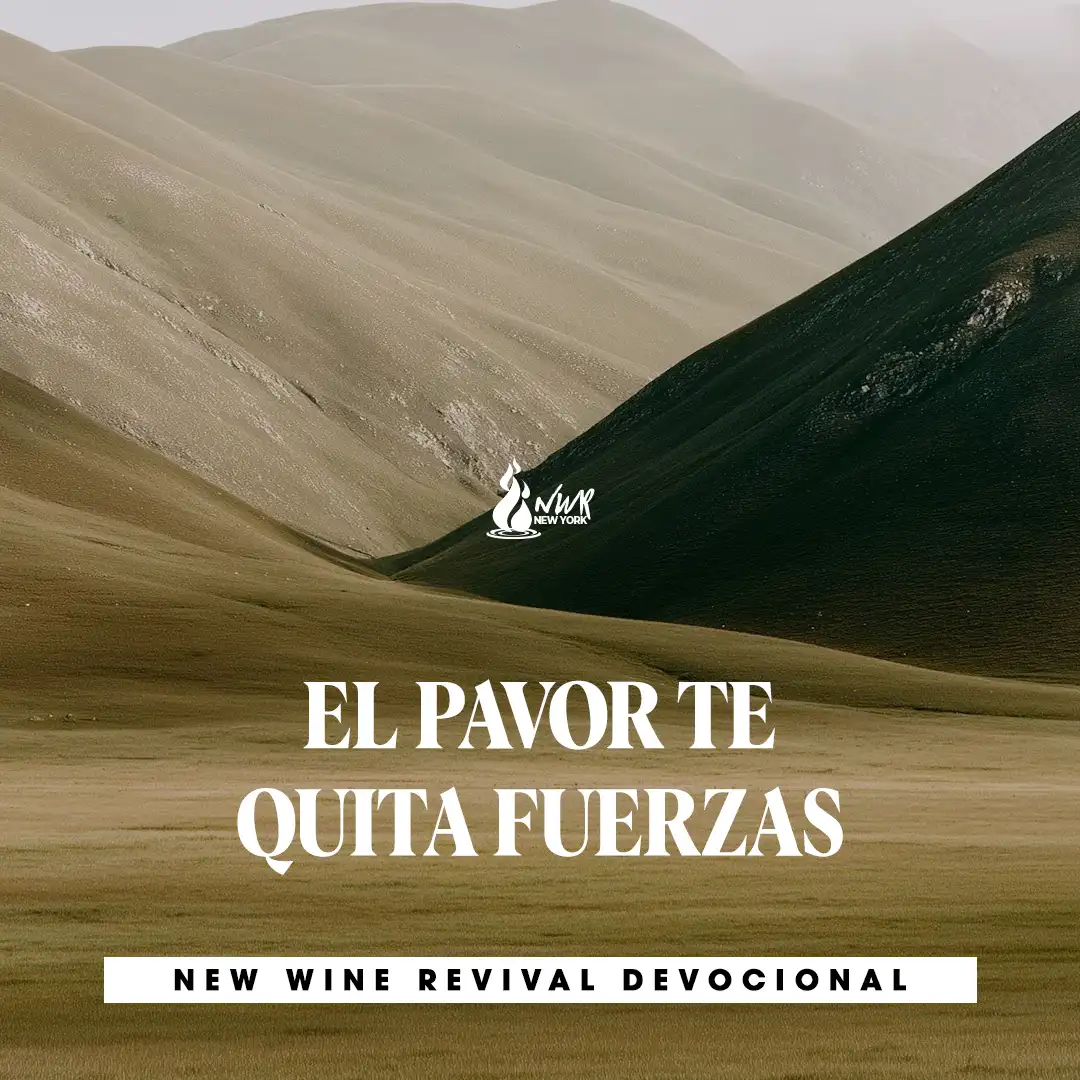 Read more about the article EL PAVOR TE QUITA FUERZAS