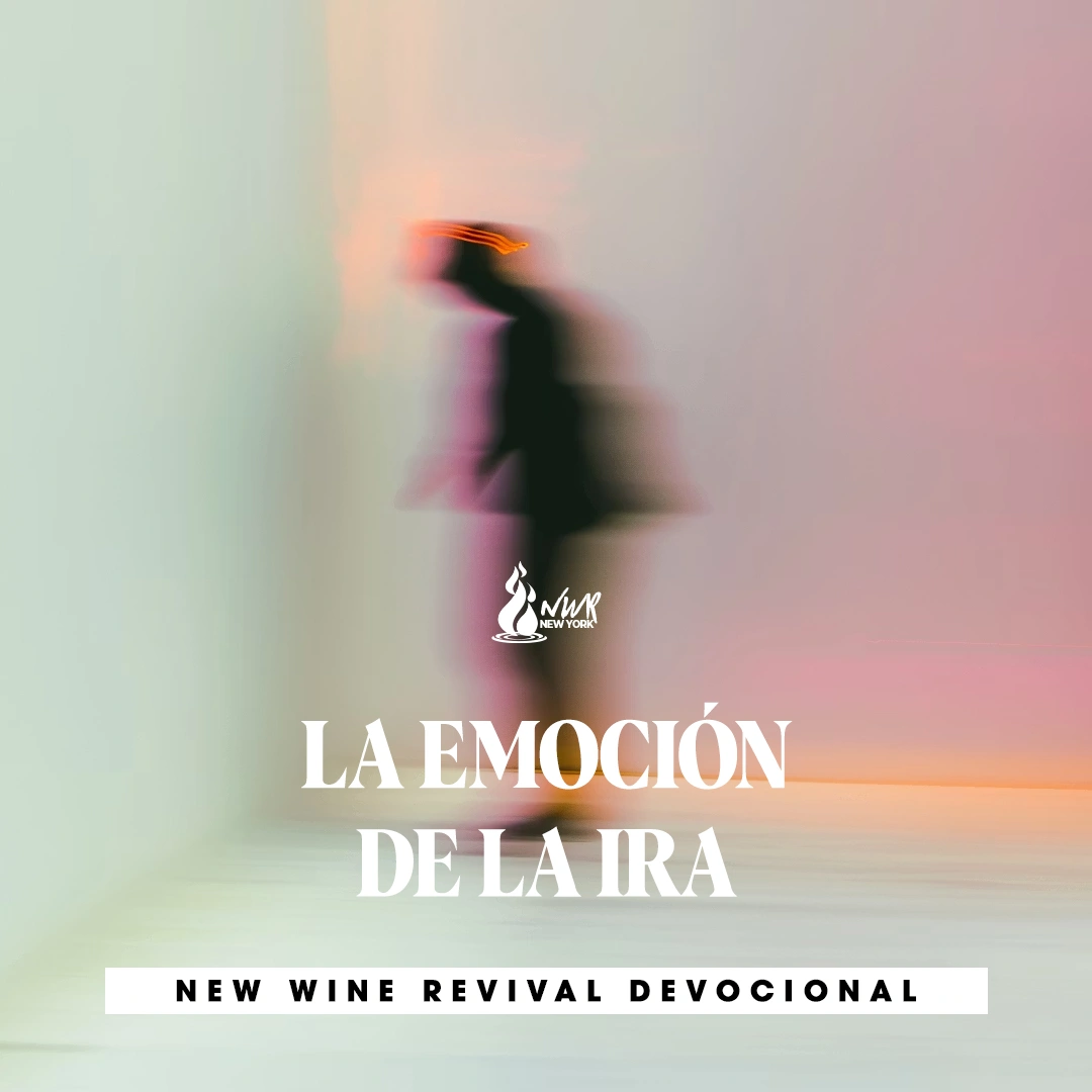 Read more about the article LA EMOCIÓN DE LA IRA