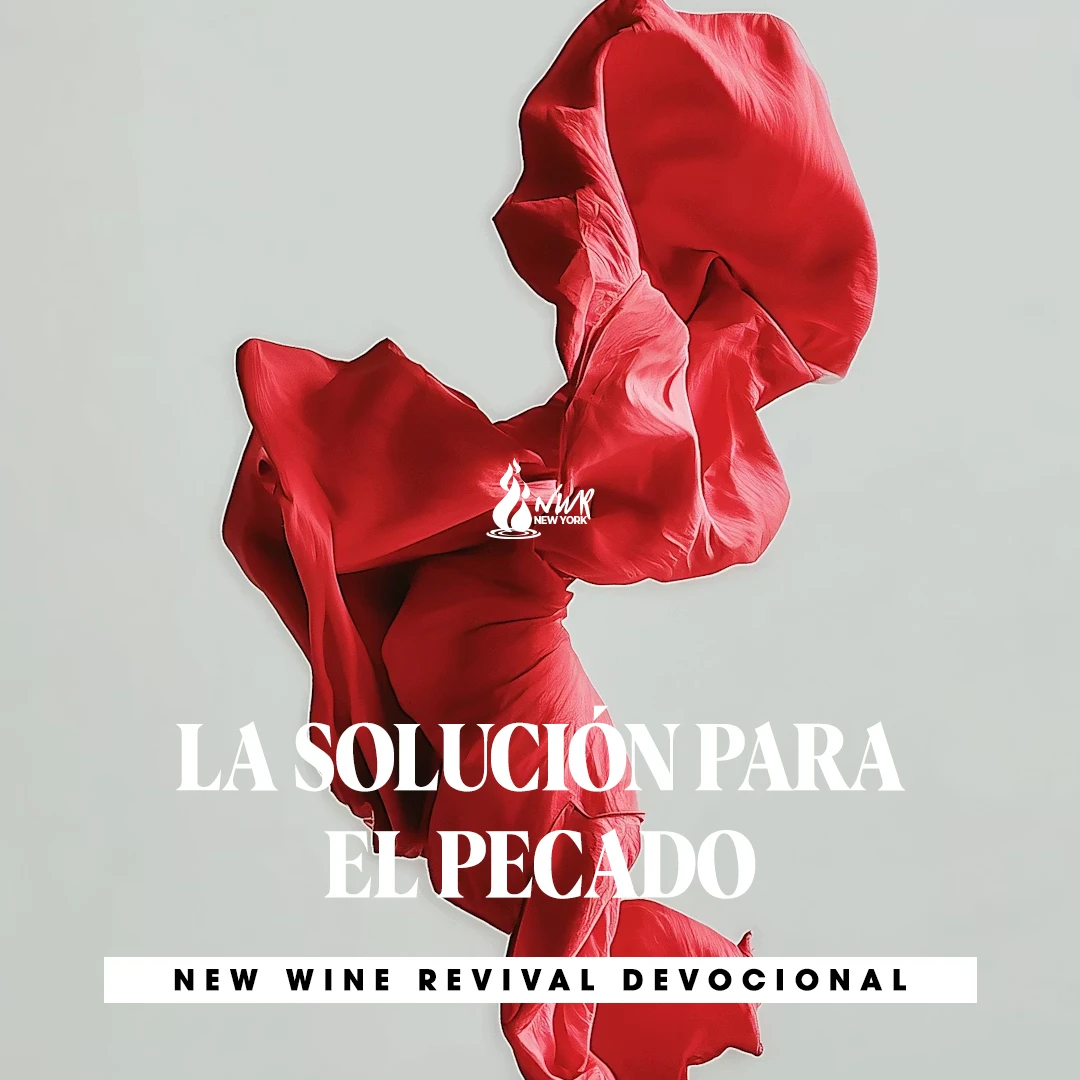 Read more about the article LA SOLUCIÓN PARA EL PECADO