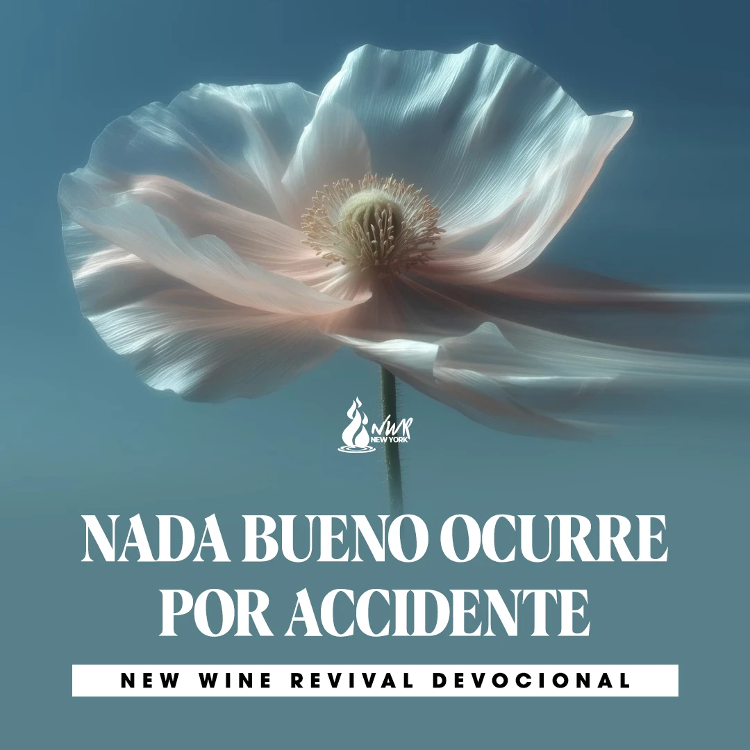 Read more about the article 18Mar – NADA BUENO OCURRE POR ACCIDENTE