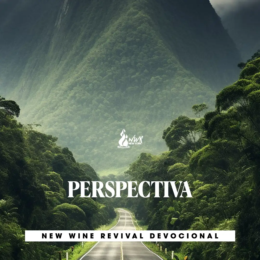 Read more about the article PERSPECTIVA