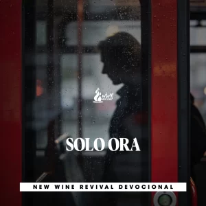 Read more about the article SOLO ORA